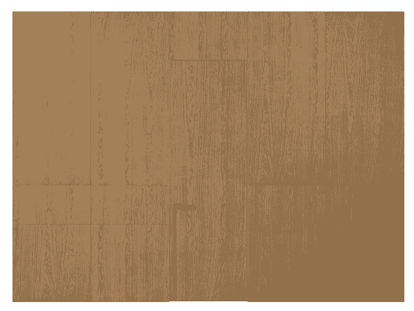 Панели для отделки стен Панель Шпон с эффектом NaturWood. Цвет Дуб сепия матовый. Материал Шпон с эффектом Naturwood. Коллекция Шпон с эффектом NaturWood. Картинка.